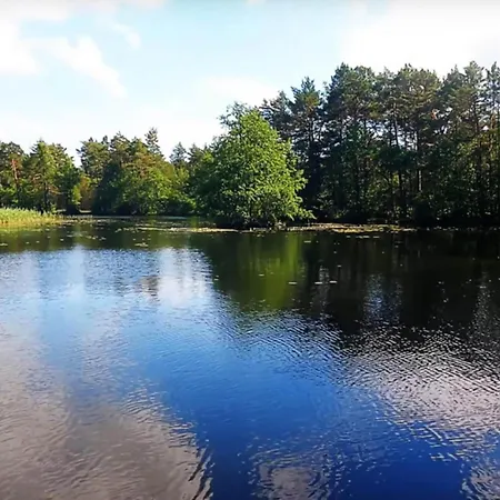 In * Kopalino